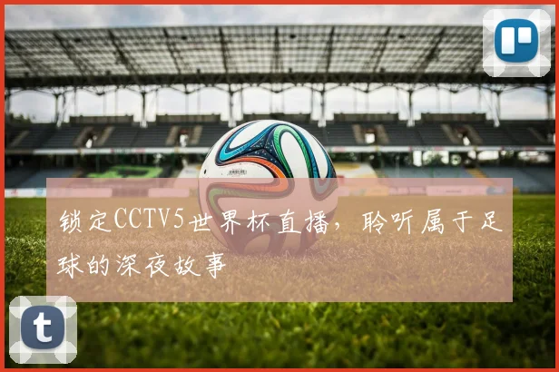 锁定CCTV5世界杯直播，聆听属于足球的深夜故事