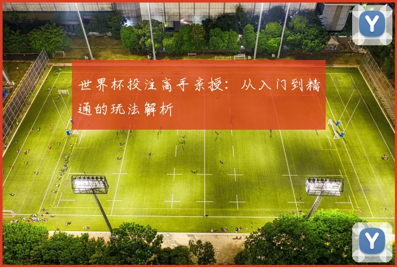 世界杯投注高手亲授:从入门到精通的玩法解析