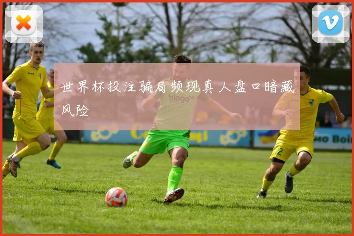 世界杯投注骗局频现真人盘口暗藏风险