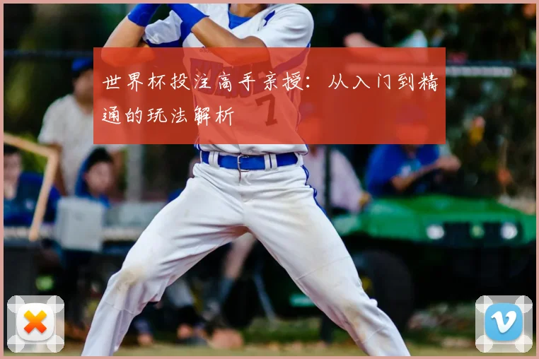 世界杯投注高手亲授:从入门到精通的玩法解析