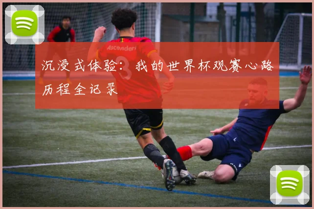 沉浸式体验:我的世界杯观赛心路历程全记录