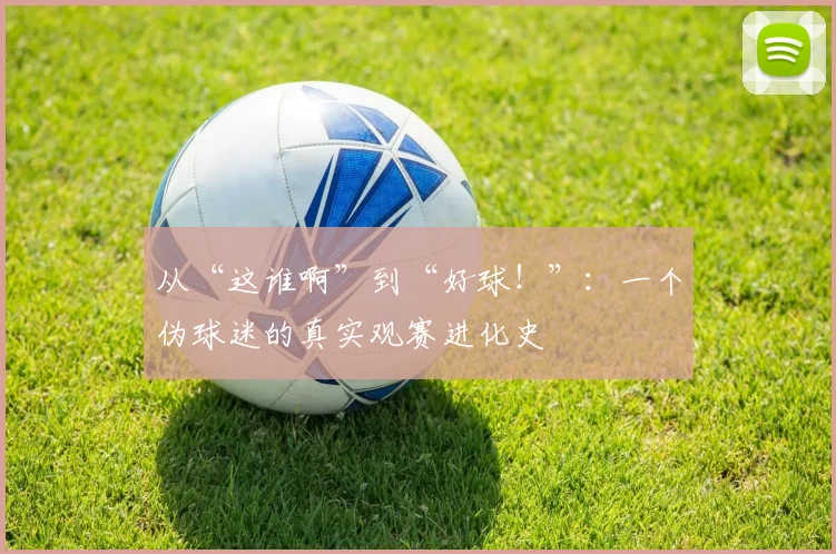 从“这谁啊”到“好球！”：一个伪球迷的真实观赛进化史